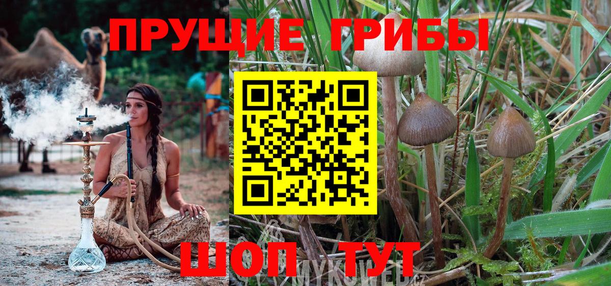 Галлюциногенные грибы MAGIC MUSHROOMS  Галлюциногенные грибы мицелий  Нальчик  Вход с VPN 